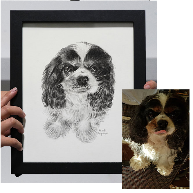 Pencil drawing commission of cavalier king charles spaniel