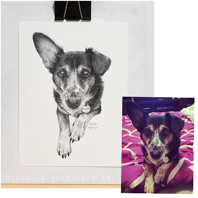 Tjana's second commission is a 6x8in drawing of her sister's dog, Brando, for Christmas. 2020.